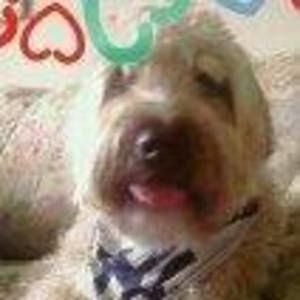 Meet your Posher, Sue